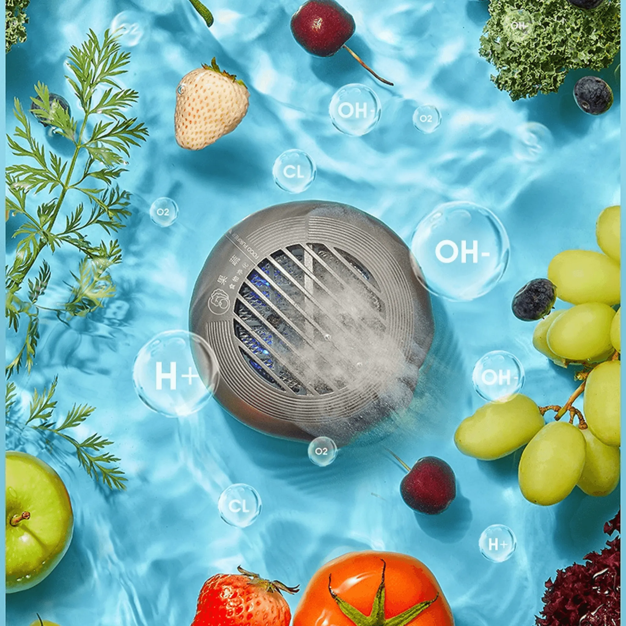 DONLIM Double Machine Meat Purifier Food Cleaning Machine for Purifying Fruits and Vegetables