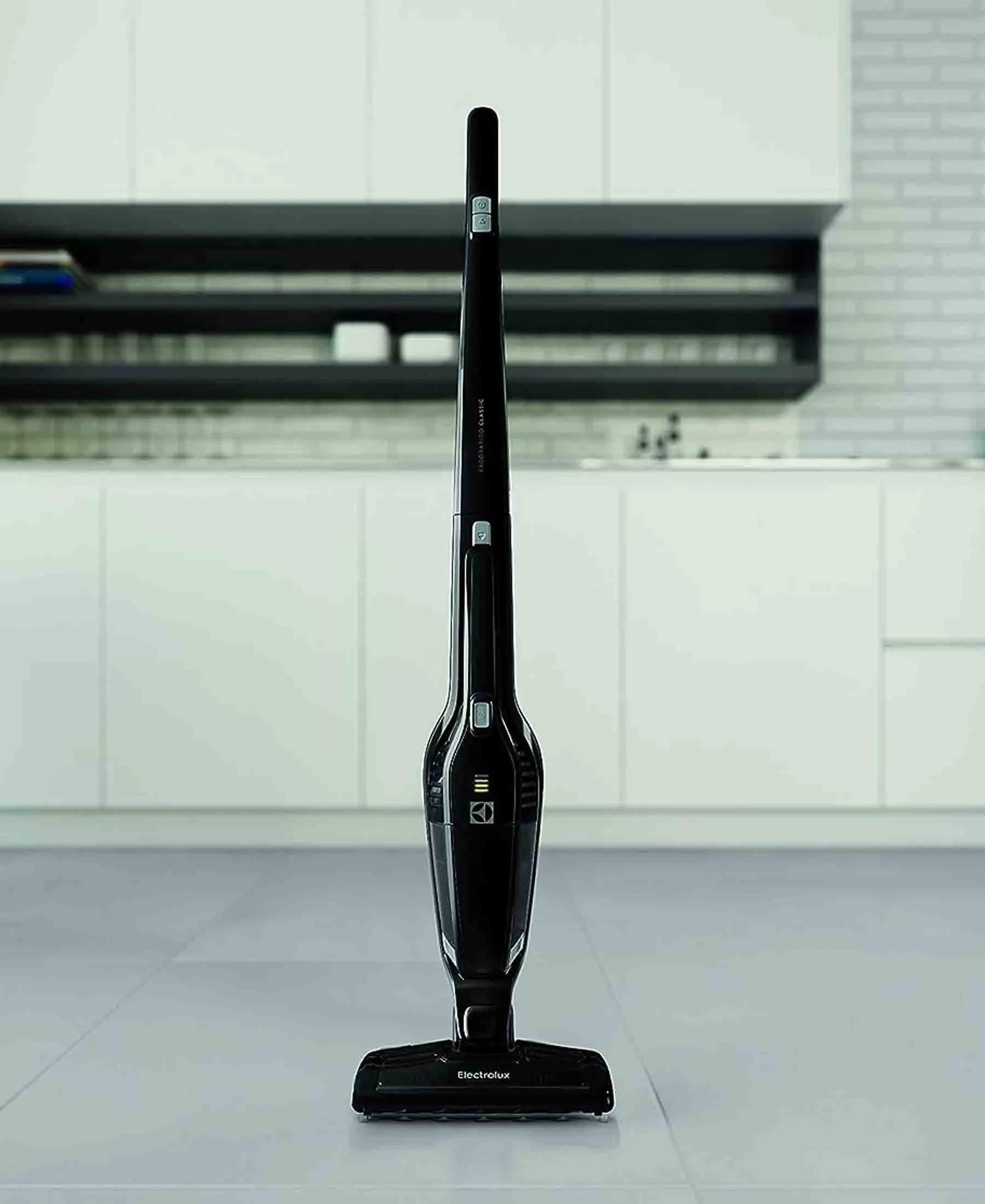 Electrolux Ergorapido 2 In 1 Cordeless Vacuum Cleaner